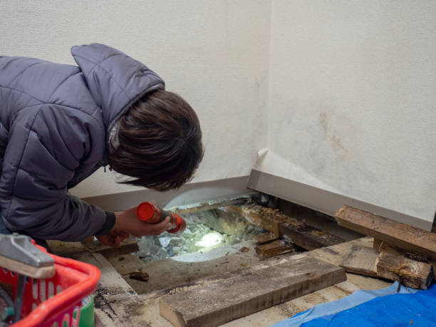 Best HVAC Mold Inspection and Cleaning  in Hardin, MT