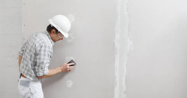 Best Industrial Mold Remediation  in Hardin, MT